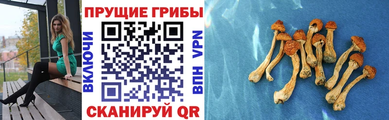 Галлюциногенные грибы мухоморы  дарнет шоп  Мышкин 